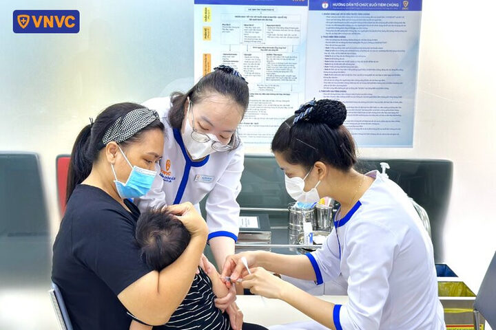 Quy trình tiêm vắc xin phòng dại và huyết thanh sau khi bị chó dại cắn để hạn chế phát bệnh