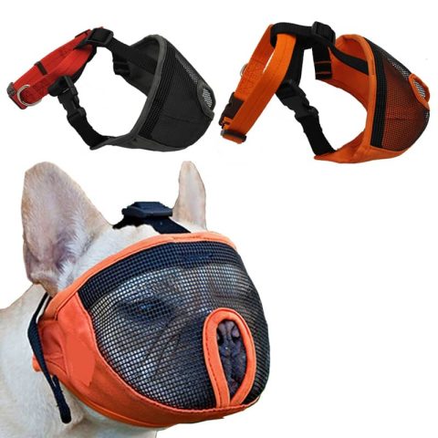 Rọ Mõm Chó Bull Pháp: Hướng Dẫn Chọn & Sử Dụng Chuẩn Xác