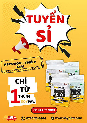 Sản phẩm cát đậu nành cho mèo của Mochi Cat