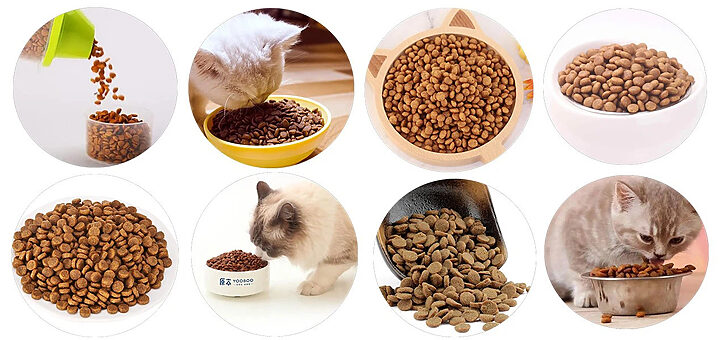 Sản phẩm thức ăn khô cho chó mèo đa dạng hình dạng và kích thước
