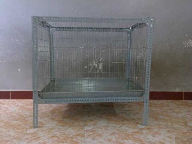 Sắt V lỗ có độ bền cao giúp tăng tuổi thọ cho chuồng chó, đảm bảo sử dụng lâu dài