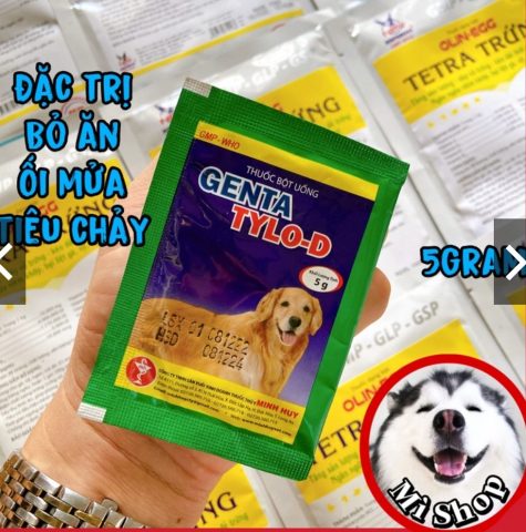 Có Nên Cho Chó Uống Thuốc Tiêu Chảy Của Người: Hướng Dẫn Chi Tiết