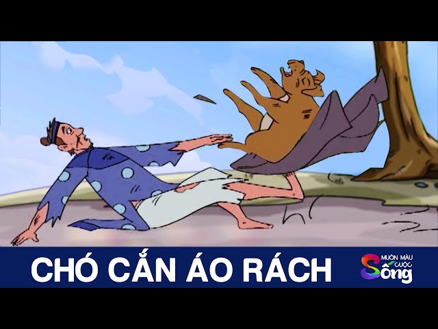 Ảnh Chó Cắn Áo Rách: Giải Mã Hiện Tượng và Phòng Ngừa Hiệu Quả