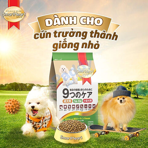SmartHeart Gold vị cừu &amp; gạo - một lựa chọn hạt cho chó loại nào tốt