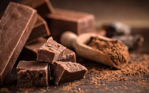 Socola là thực phẩm nguy hiểm, tuyệt đối không cho chó Poodle ăn để tránh ngộ độc