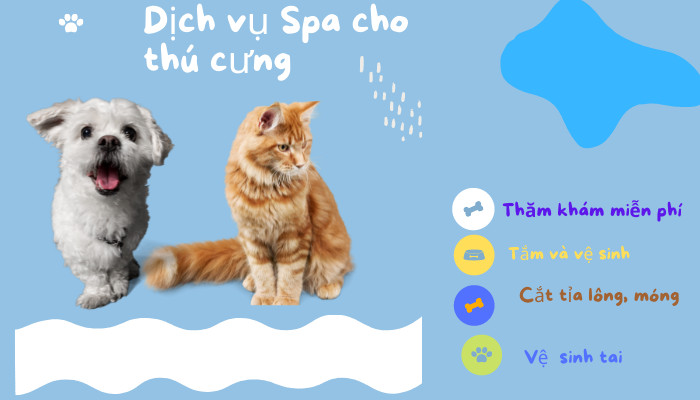 Spa thú cưng chuyên nghiệp cung cấp đa dạng dịch vụ chăm sóc