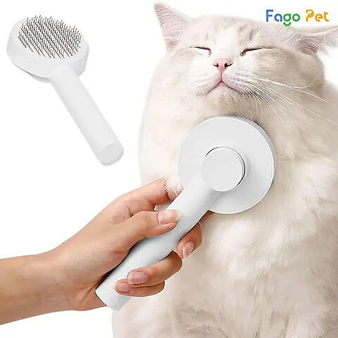 Sự thoải mái của chó lông xù màu trắng là điều quan trọng khi chải lông