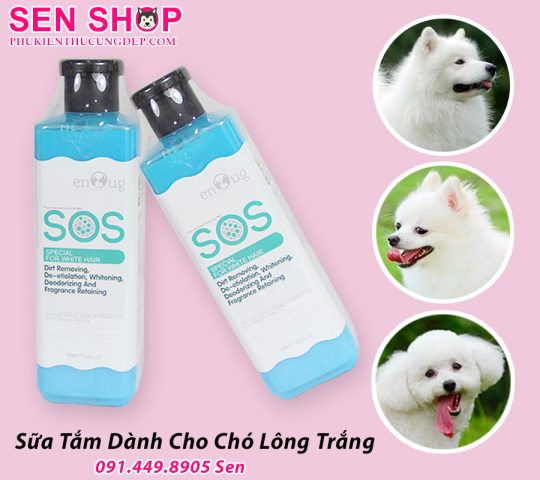 Sữa Tắm Cho Chó Lông Xù: Hướng Dẫn Chọn Và Sử Dụng Hiệu Quả