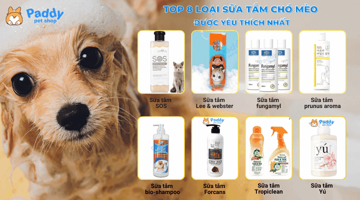 Sữa Tắm Rose Cho Chó: Bí Quyết Giúp Cún Cưng Thơm Mát Và Lông Mượt Khỏe