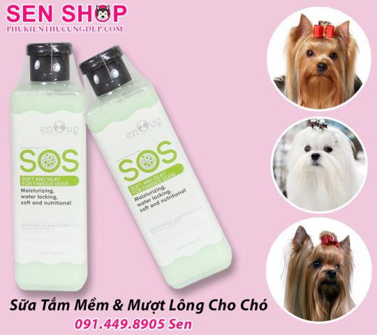 Sữa Tắm Khử Hôi Chó Hiệu Quả Nhất: Bí Quyết Chọn Lựa & Sản Phẩm Đỉnh Cao