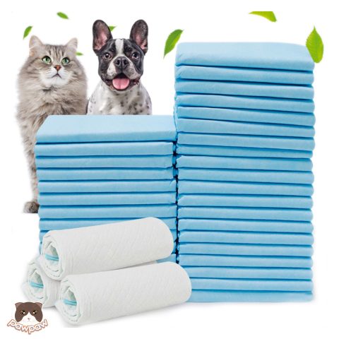Lót Vệ Sinh Cho Chó: Hướng Dẫn Chi Tiết Từ A Đến Z