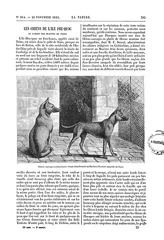 Tạp chí La Nature số tháng 10 năm 1897 với bài viết của Emile Oustalet về chó Phú Quốc
