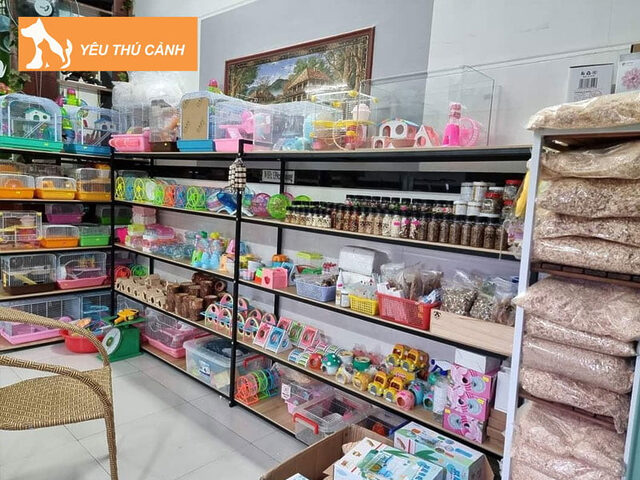 TH Pet Shop - Shop thú cưng Quy Nhơn