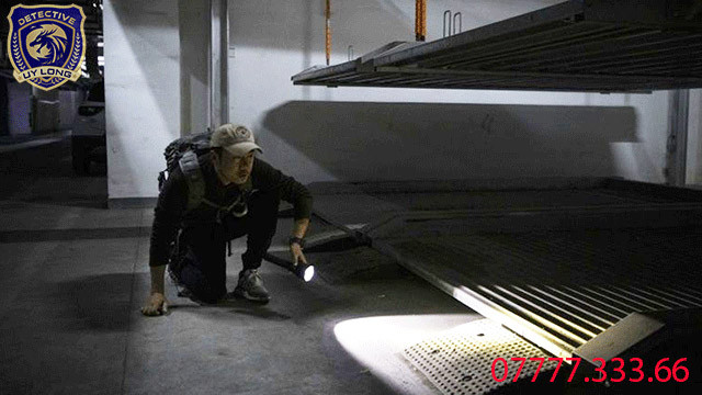 Thám tử đang thực hiện dịch vụ tìm chó bị bắt trộm bằng cách điều tra xung quanh khu vực