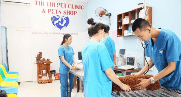Thi Thi Clinic &amp; Petshop – Khách sạn cho chó mèo Tp. HCM