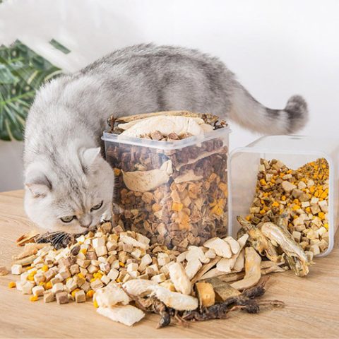 Thức Ăn Khô Cho Chó Giá Rẻ: Lựa Chọn Tối Ưu Cho Cún Cưng