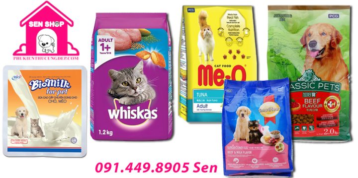 Mèo Có Ăn Được Thức Ăn Cho Chó Không: Phân Tích Chuyên Sâu