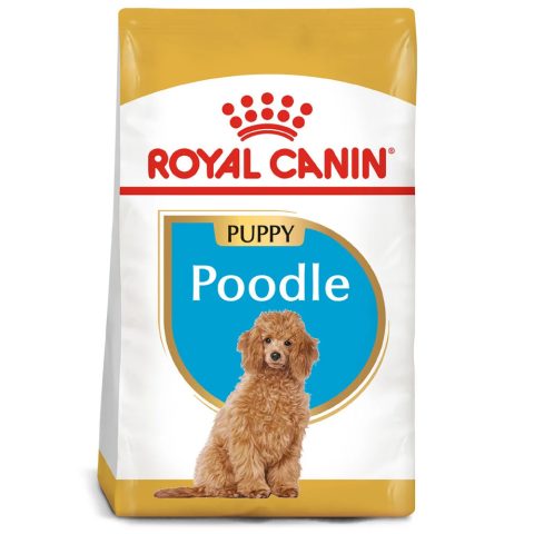 Thức Ăn Cho Chó Puppy: Hướng Dẫn Chăm Sóc Dinh Dưỡng Toàn Diện
