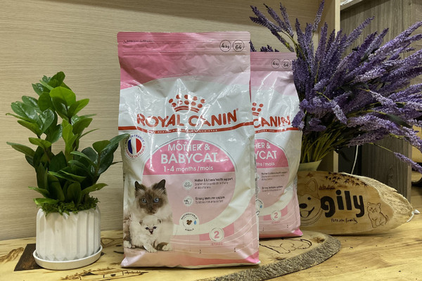 Thức ăn hạt Royal Canin cho chó, chuyên biệt theo giống và lứa tuổi