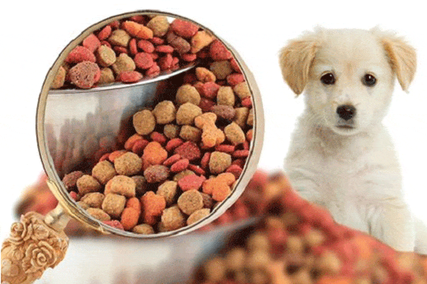 Thức Ăn Khô Cho Chó Giá Rẻ: Lựa Chọn Tối Ưu Cho Cún Cưng