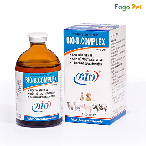 Thuốc B Complex cho chó dạng tiêm với thành phần vitamin B thiết yếu