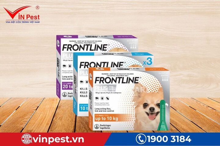 Thuốc diệt ve chó hiệu quả Frontline Plus