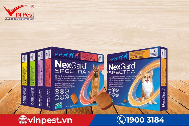 Thuốc diệt ve chó hiệu quả NexGard Spectra trị ký sinh trùng cho vật nuôi