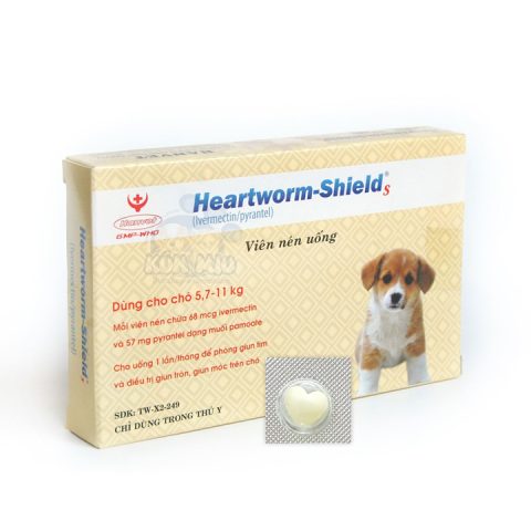 Hướng Dẫn Toàn Diện Về Tẩy Giun Tim Cho Chó - image 3