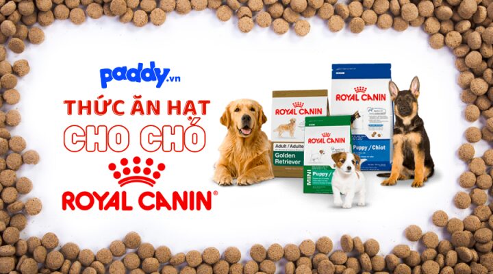 Thức ăn hạt Royal Canin cho chó với đa dạng sản phẩm