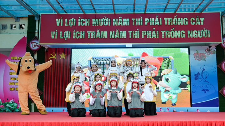 Chung Tay Bảo Vệ Chó Mèo: Hướng Dẫn Toàn Diện Và Trách Nhiệm