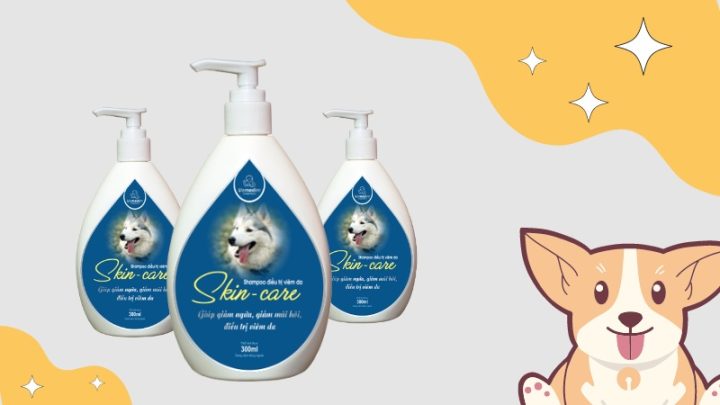Sữa Tắm Trị Rụng Lông Cho Chó: Giải Pháp Toàn Diện Giúp Lông Khỏe Mạnh