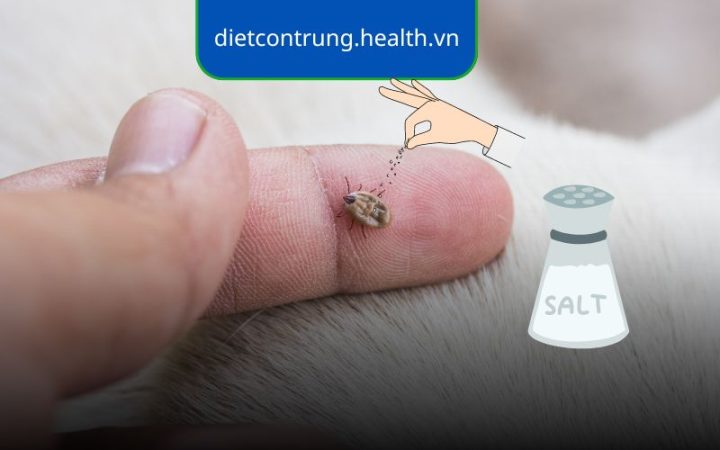 Trị Ve Chó Bằng Muối: Hướng Dẫn Chi Tiết Từ A Đến Z