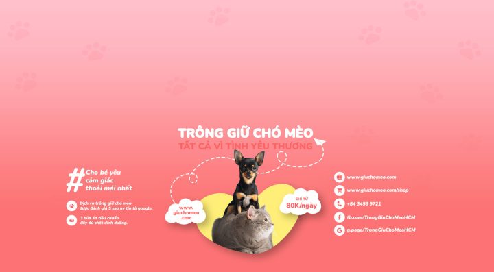 Trông Giữ Chó Mèo HCM: Top 5 Địa Chỉ Uy Tín, Chuyên Nghiệp Nhất - image 2