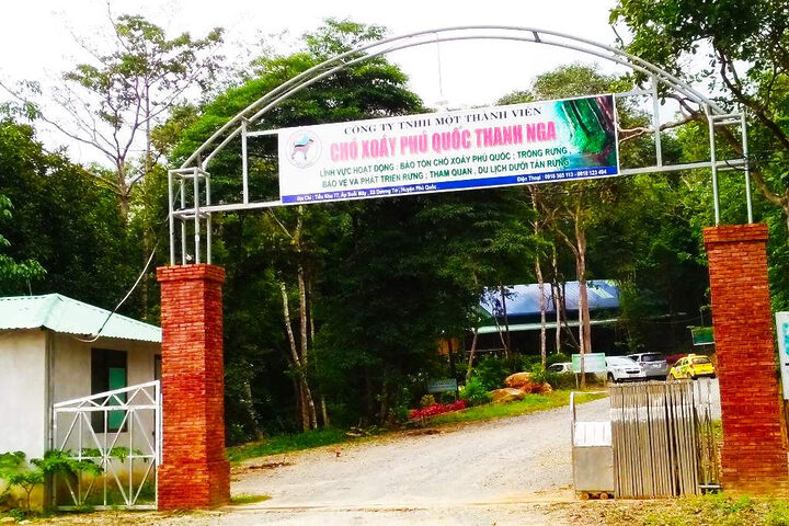 Trung tâm bảo tồn chó xoáy Phú Quốc – Quốc khuyển linh hồn của Đảo Ngọc 2