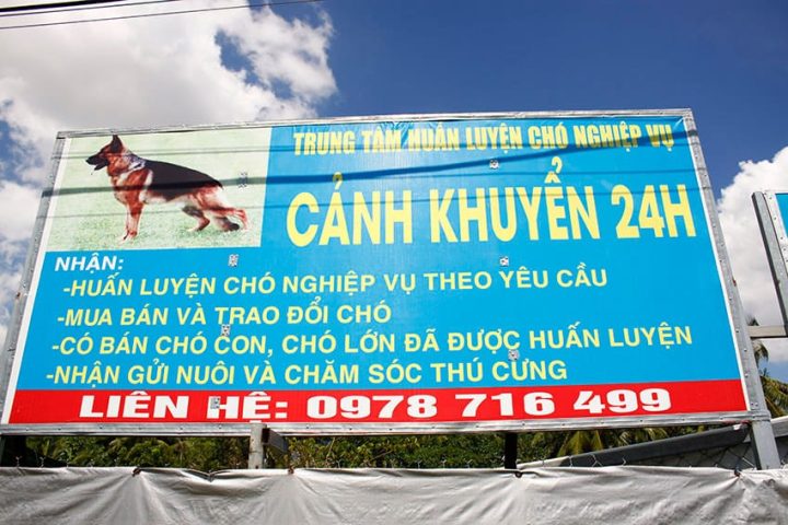 Trung tâm huấn luyện chó chuyên nghiệp Cảnh Khuyển 24h gần Biên Hòa