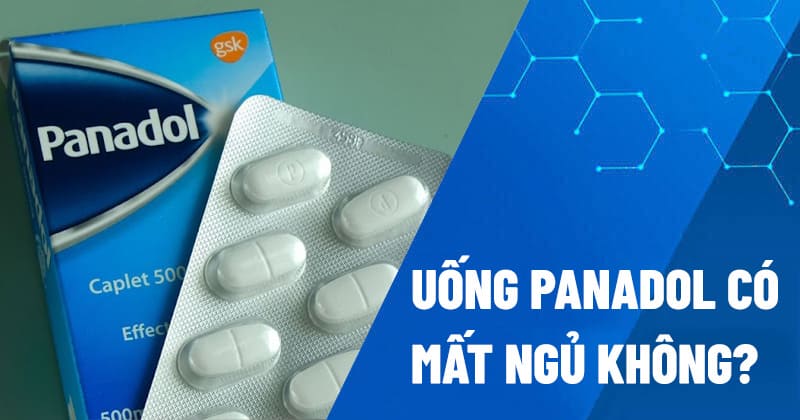 Có Nên Cho Chó Uống Panadol: Rủi Ro & Giải Pháp Thay Thế An Toàn