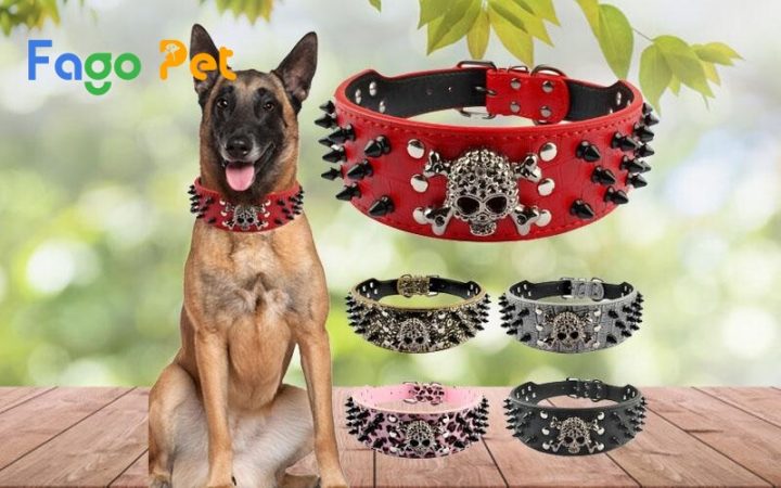 Vòng Cổ Đinh Cho Chó: Cẩm Nang Toàn Diện Từ A Đến Z Cho Chủ Nuôi Vòng Cổ Đinh Cho Chó: Cẩm Nang Toàn Diện Từ A Đến Z Cho Chủ Nuôi