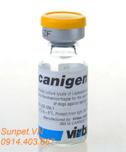 Vaccine phòng 6 bệnh cho chó Canigen DHA2 PPIL tại cửa hàng chó mèo Hà Nội