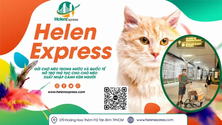 Dịch vụ vận chuyển chó đi Mỹ chuyên nghiệp và an toàn