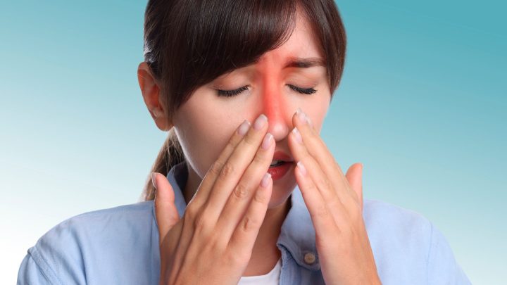 Viêm Đường Tiết Niệu Ở Chó: Nguyên Nhân, Triệu Chứng Và Cách Điều Trị Hiệu Quả