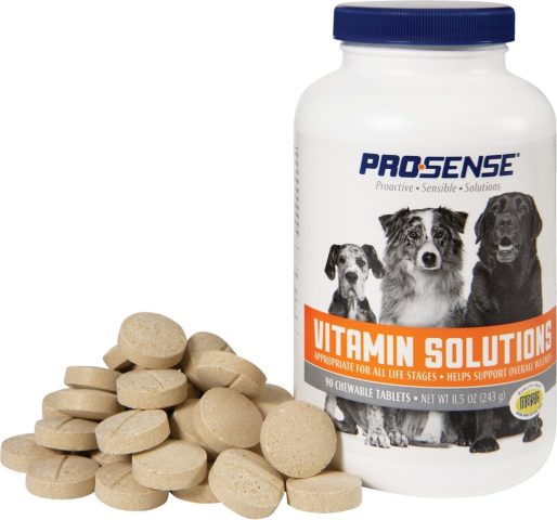 Vitamin Tổng Hợp Cho Chó: Hướng Dẫn Toàn Diện Từ A-Z