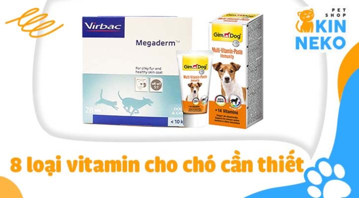 Vitamin Tổng Hợp Cho Chó: Hướng Dẫn Toàn Diện Từ A-Z