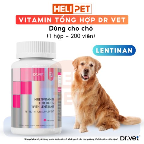 Vitamin và Khoáng Chất Cho Chó: Hướng Dẫn Toàn Diện Từ A-Z