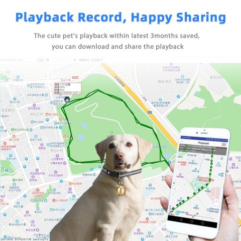 Vòng cổ GPS cho chó hình chuông