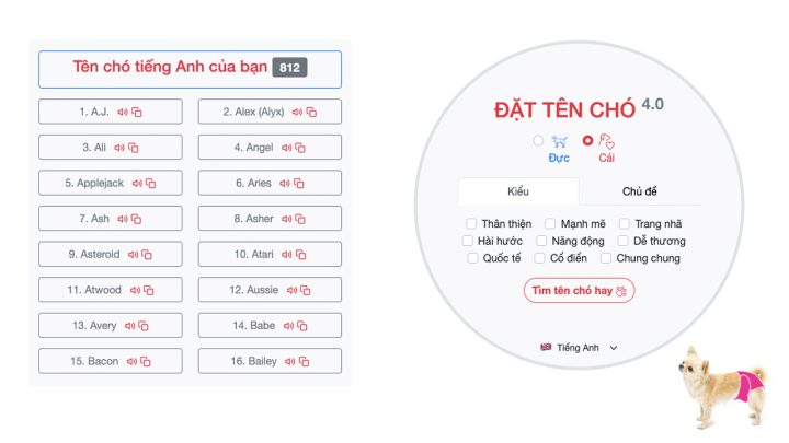 Tuyển Tập Tên Chó Hay Bằng Tiếng Anh: Hơn 200 Gợi Ý Độc Đáo