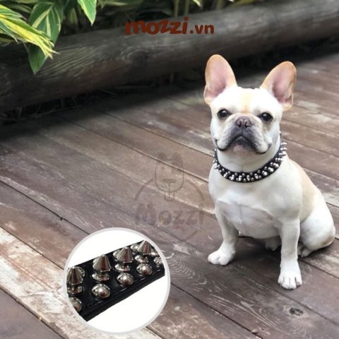 Vòng Cổ Đinh Cho Chó: Cẩm Nang Toàn Diện Từ A Đến Z Cho Chủ Nuôi Vòng Cổ Đinh Cho Chó: Cẩm Nang Toàn Diện Từ A Đến Z Cho Chủ Nuôi
