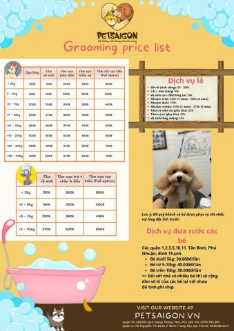 Dịch Vụ Spa Chó Mèo: Chăm Sóc Toàn Diện Từ A Đến Z - image 3