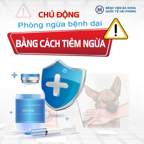Tiêm phòng chó dại mấy mũi? Hướng dẫn chi tiết lịch tiêm vắc xin