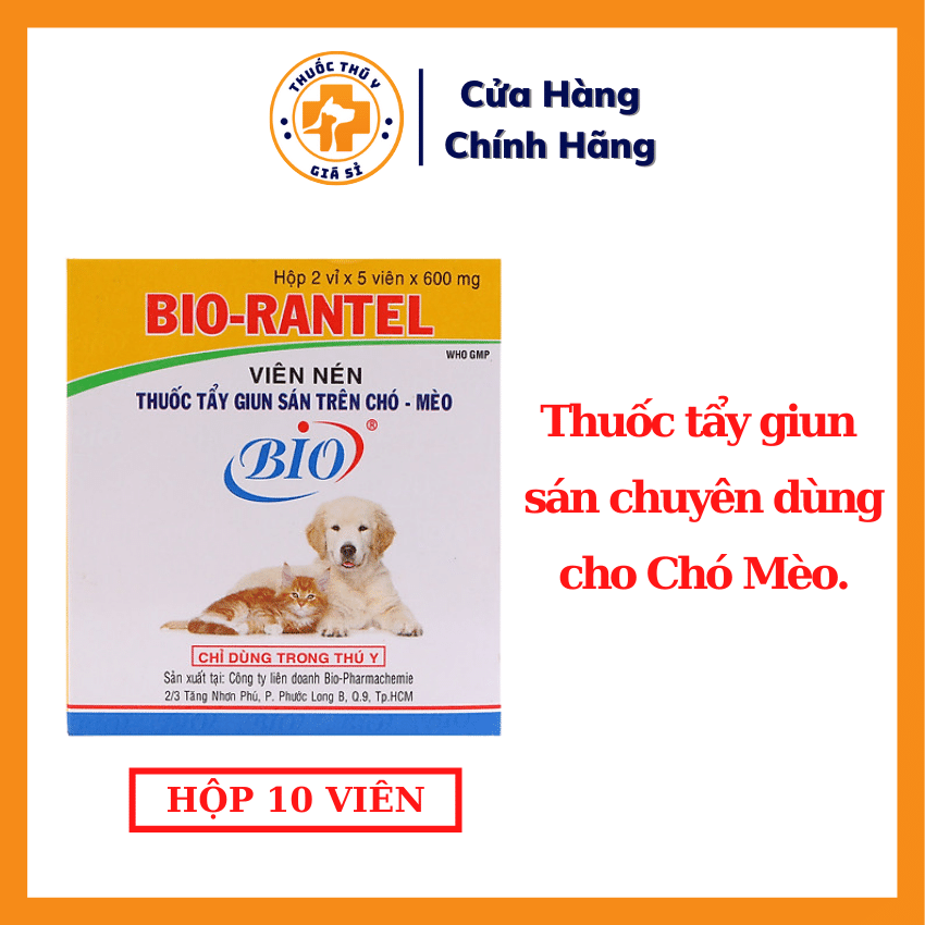 Thuốc Tẩy Giun Cho Chó Bio Rantel: Hiệu Quả và Cách Dùng Thuốc Tẩy Giun Cho Chó Bio Rantel: Hiệu Quả và Cách Dùng