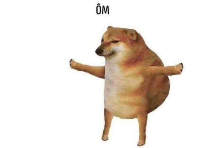 Cách tạo ảnh chó meme
